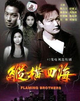 纵横四海粤语海报