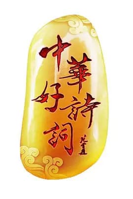 中华好诗词特别节目《诗词王中王》海报