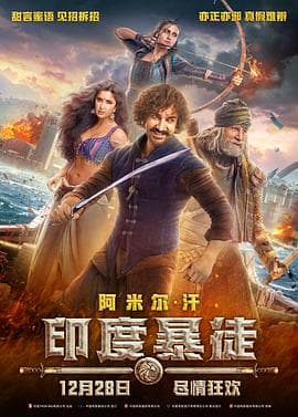 印度暴徒(国语版)海报